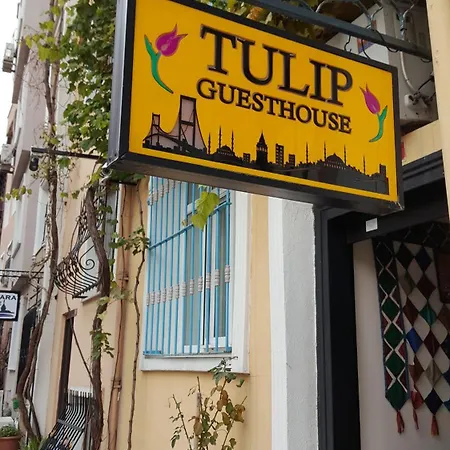 Tulip Guesthouse-2